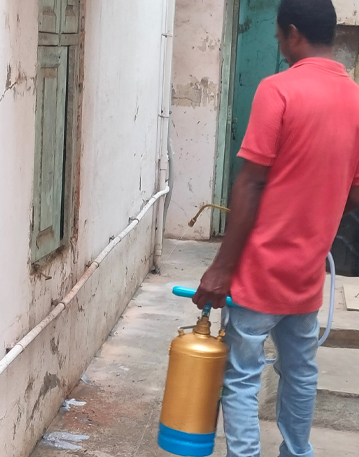 Pest Control  Service in Royapettah