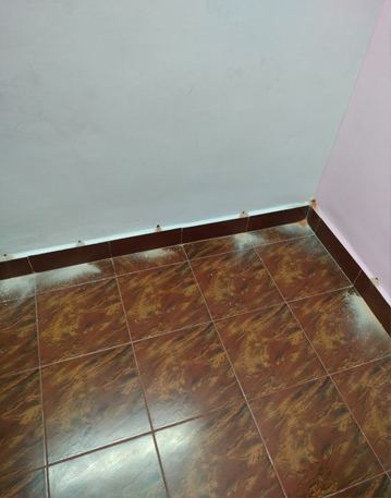 Pest Control  Service in Kodambakkam